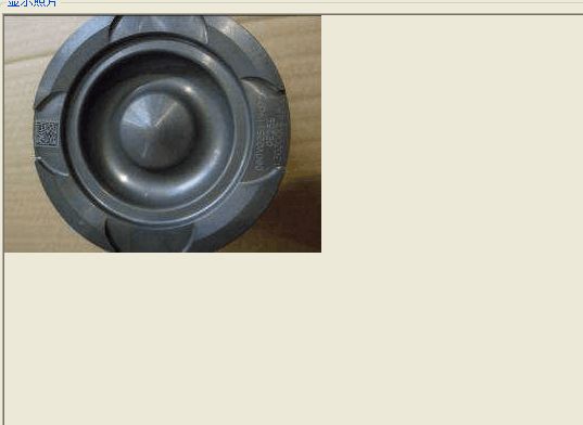 活塞（欧5）（MC07)