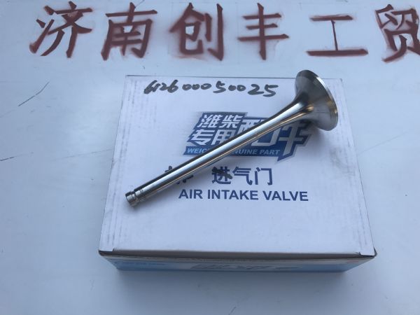 排气门