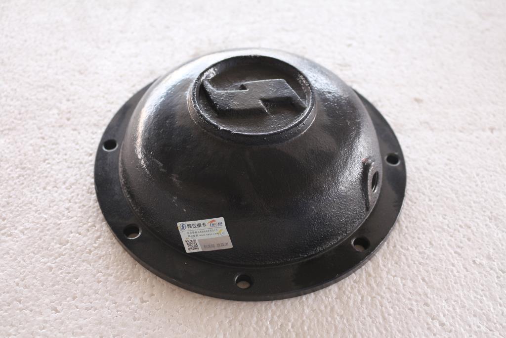 壳盖（左）（配DZ91259525035壳体）