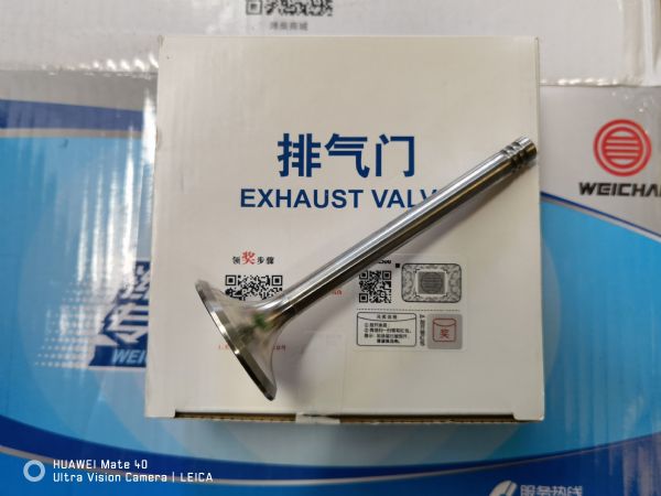 排气门